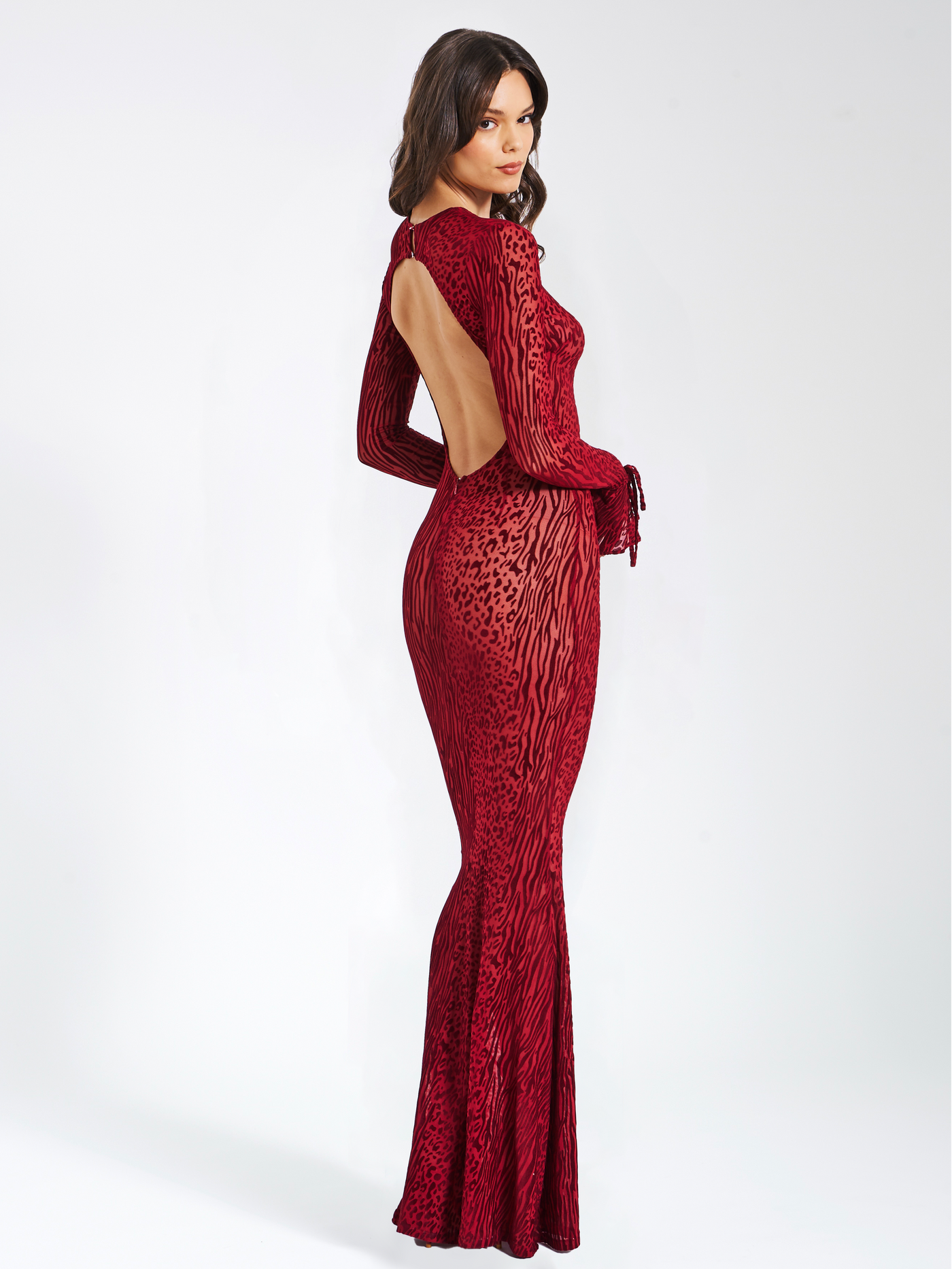 Waylynn Burnout Velvet Detail Mesh Backless Maxi Dress